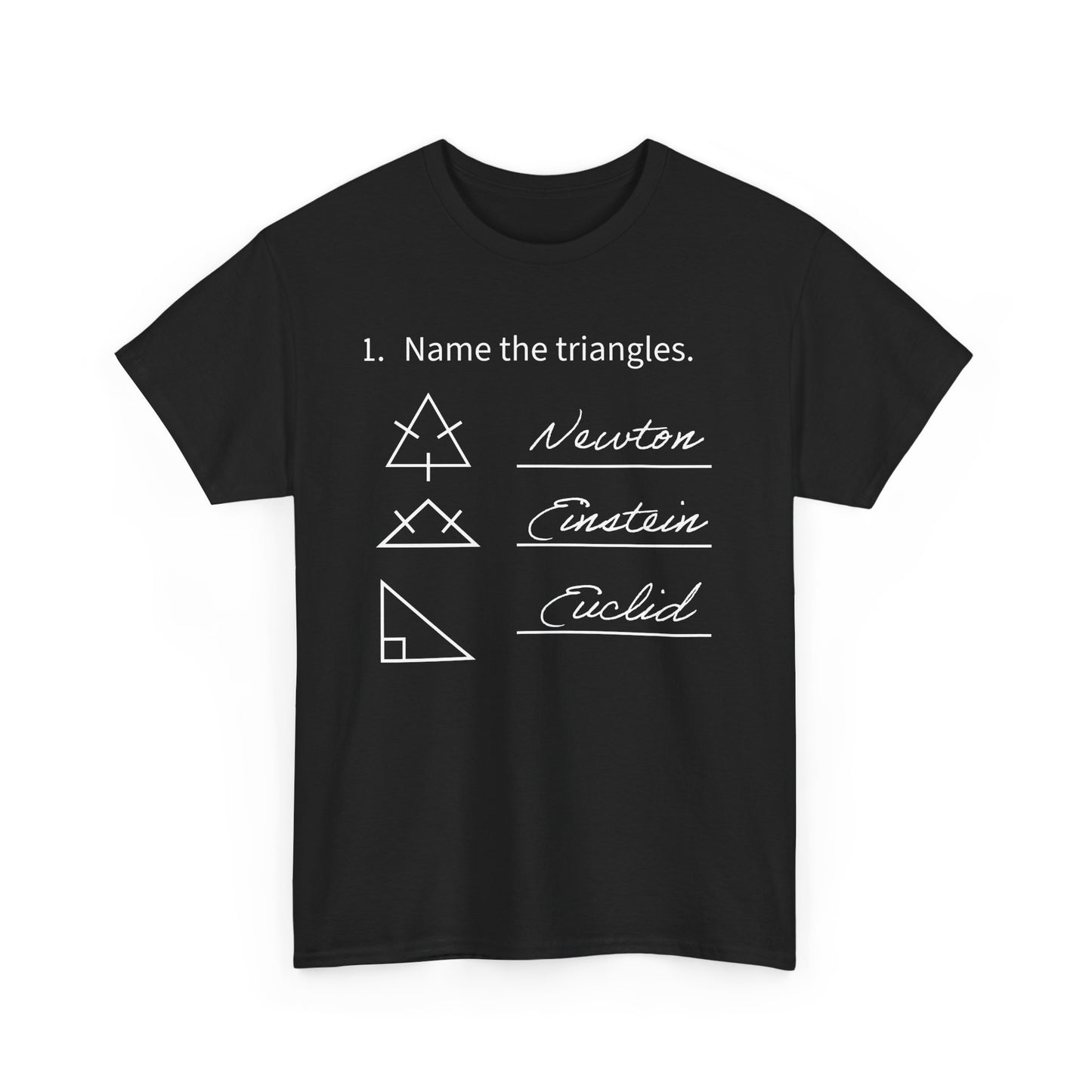 Math Joke T-Shirt – “Name the triangles: Newton, Einstein, Euclid” Graphic Tee