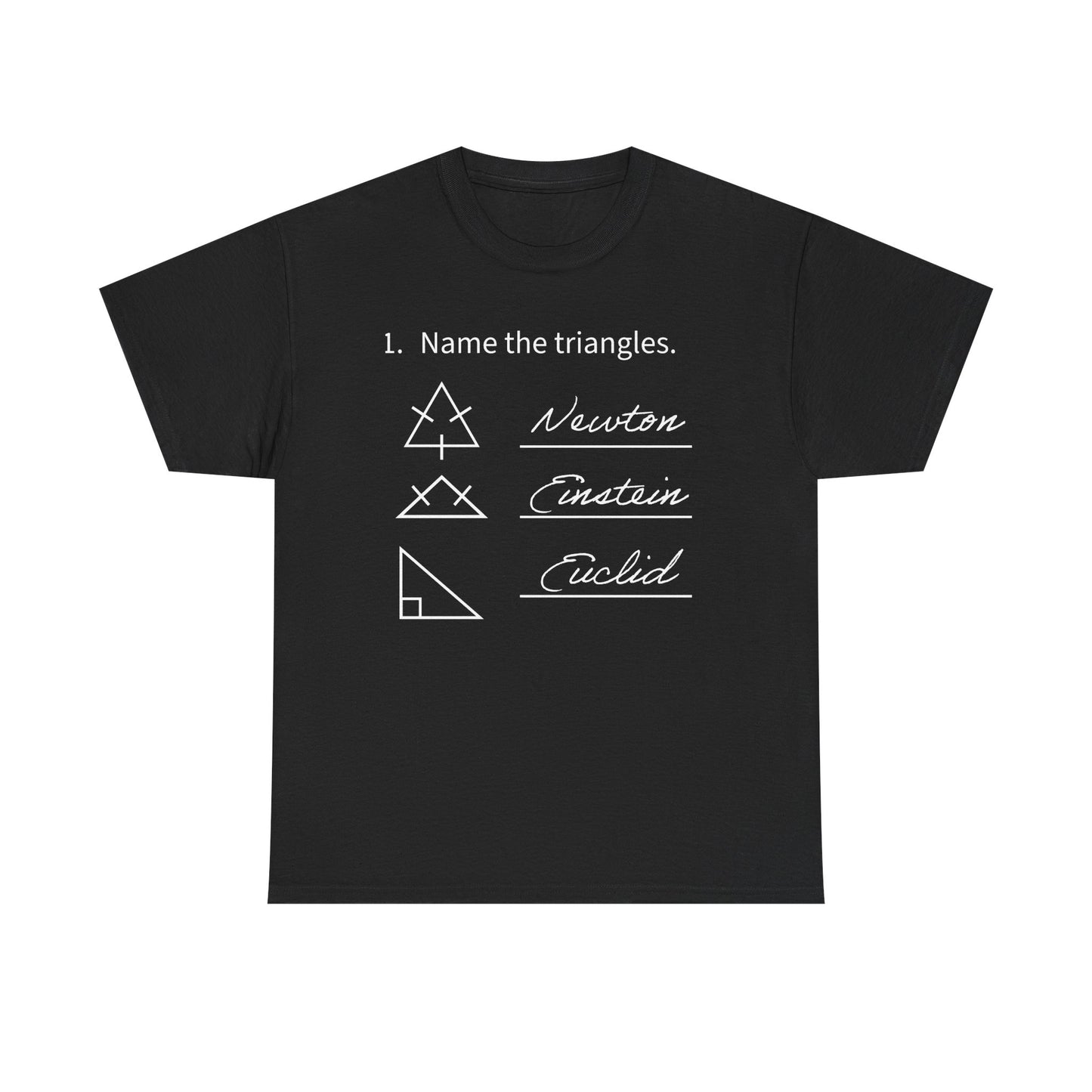 Math Joke T-Shirt – “Name the triangles: Newton, Einstein, Euclid” Graphic Tee
